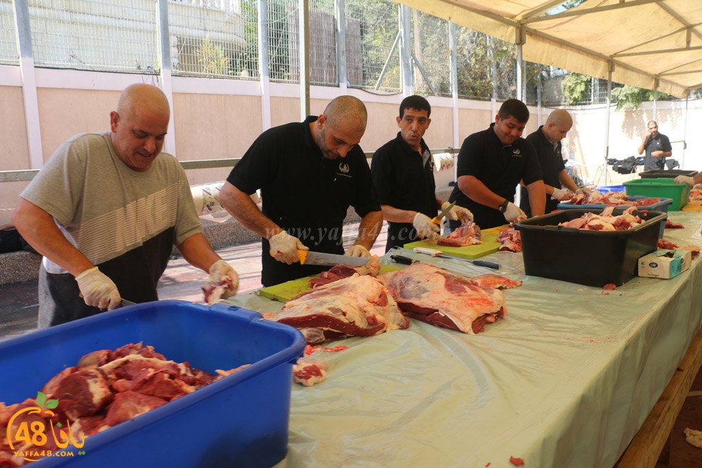 ada7y forthei (121).JPG